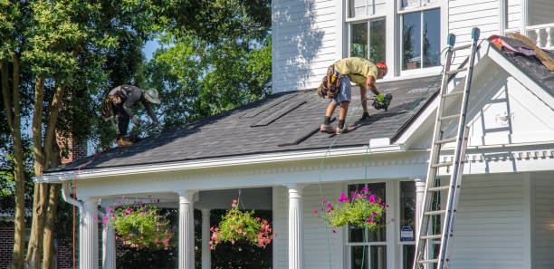 Best Roof Gutter Cleaning  in Portage, WI